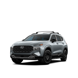 HYUNDAI SANTA FE 4 (TM)