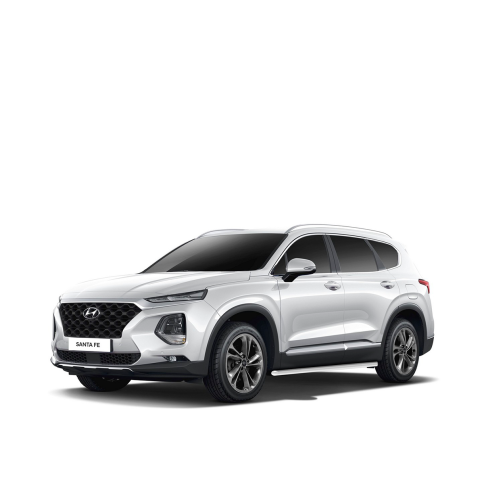 HYUNDAI SANTA FE 4 (TM) фото 2