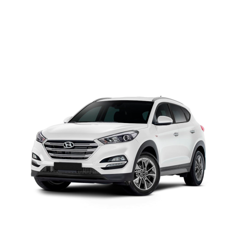 HYUNDAI TUCSON 3 (TL) фото 1